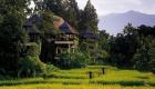 four-seasons-chiang-mai.jpg