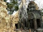 1ta-prohm-2[1].jpg